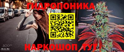 spice Бузулук