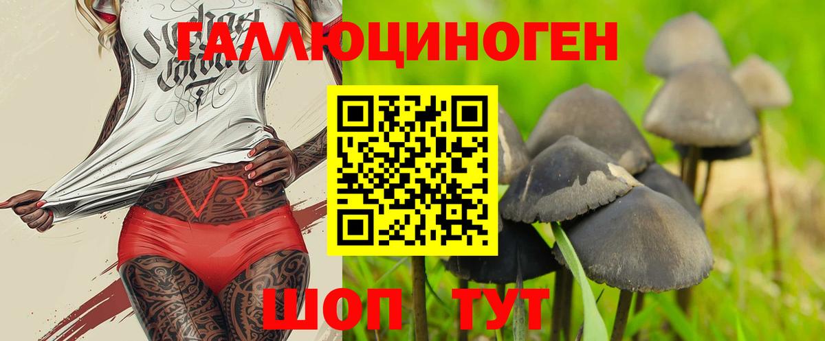 Галлюциногенные грибы Psilocybine cubensis Менделеевск